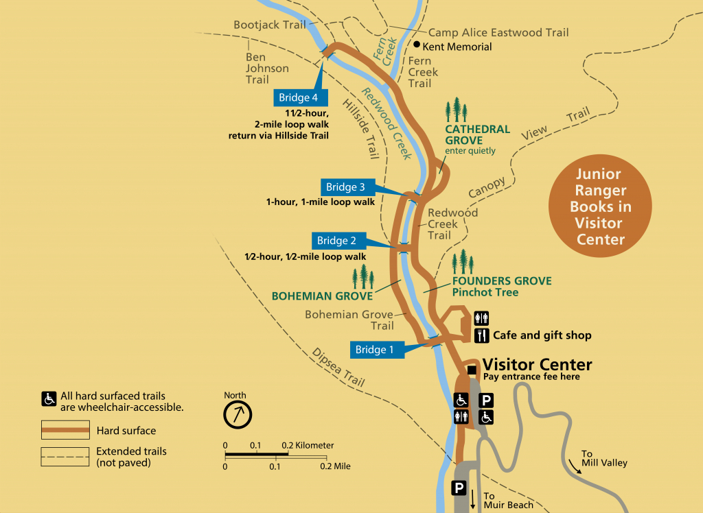 Muir Woods Main Trail - Golden Gate National Recreation Area (U.s. - Muir Woods Map California