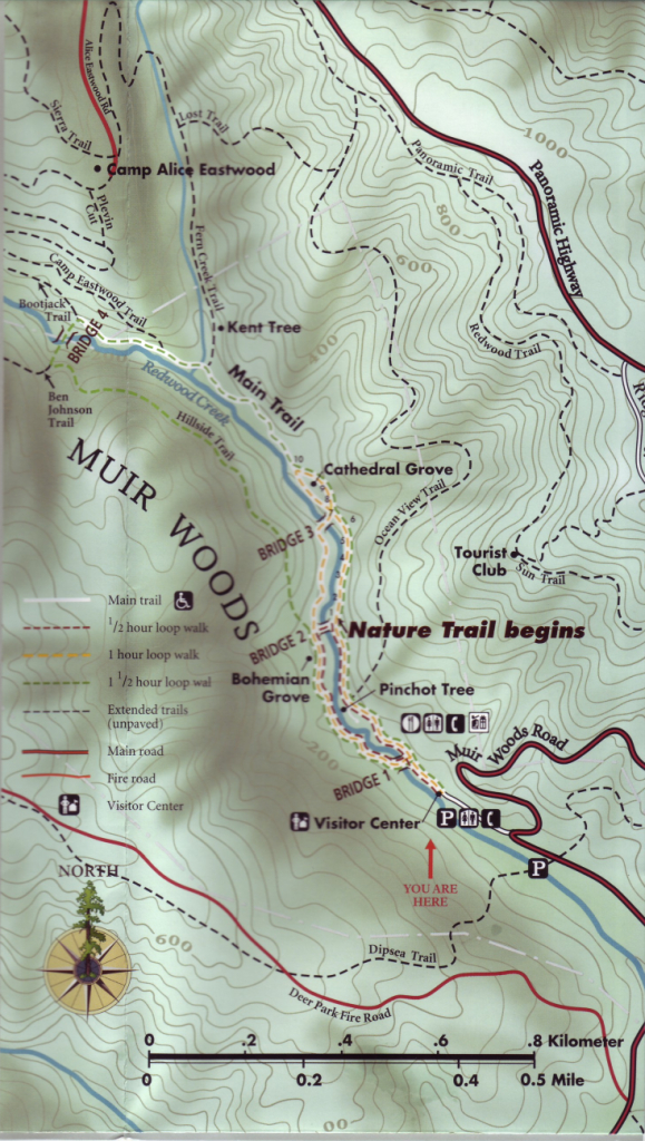 Muir Woods - Muir Woods Map California