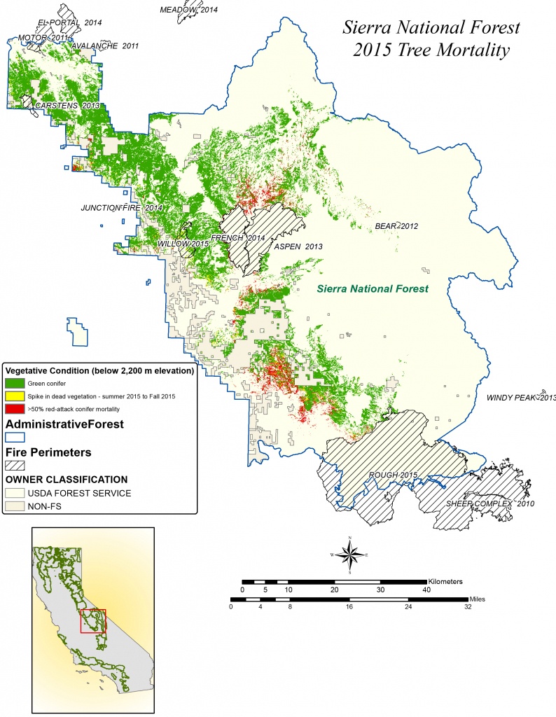 Nasa Maps California Drought Effects On Sierra Trees | Nasa - California National Forest Map