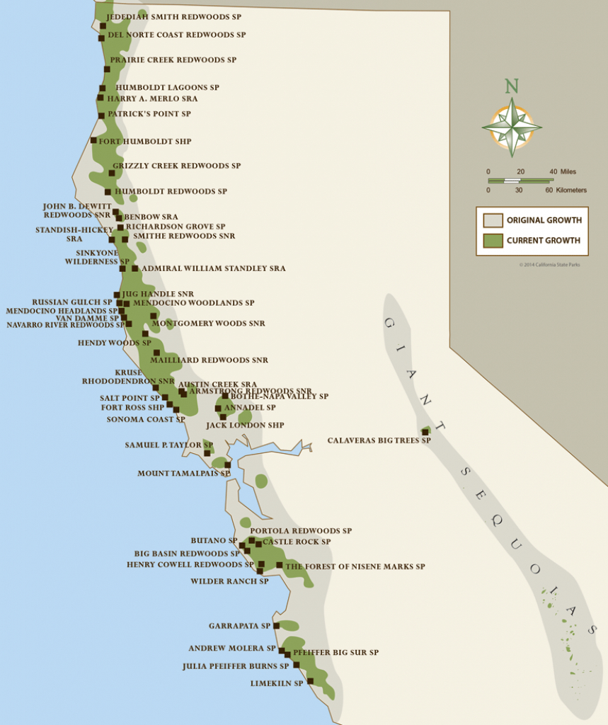 North Coast Redwoods Map | California Girl In 2019 | Humboldt - Where Is The Redwood Forest In California On A Map