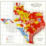 Numbered Report 40 | Texas Water Development Board   Texas Flood Insurance Map
