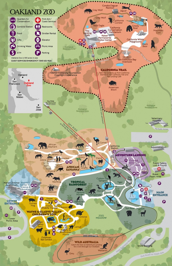 Oakland Zoo Makes Room For Big Predators. But Is It Enough? | Kqed - Oakland Zoo California Trail Map