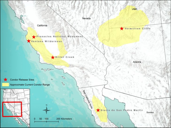 California Lead Free Hunting Map