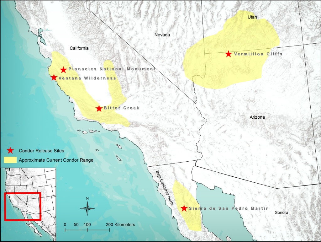 Our Programs | Pacific Southwest Region - California Lead Free Hunting Map