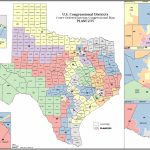 Political Participation: How Do We Choose Our Representatives   Texas State District Map