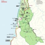 Prairie Creek Redwoods Sp In Redwood National Park , Trinidad   National And State Parks In California Map