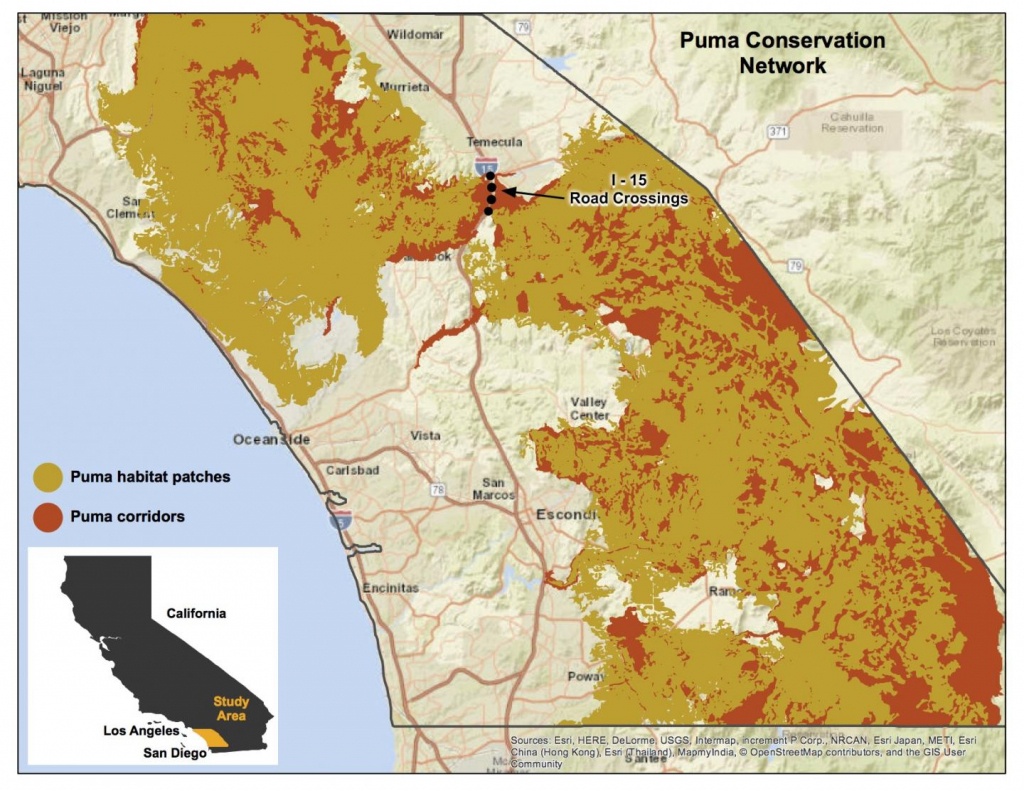 Puma Conservation Area Map [Image] | Eurekalert! Science News - Mountain Lions In California Map