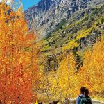 Quick Fall Facts When And How To Get Here   California Fall Color Map 2017