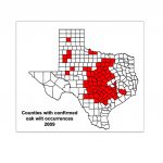 Red Oak Texas Map   World Maps   Red Oak Texas Map