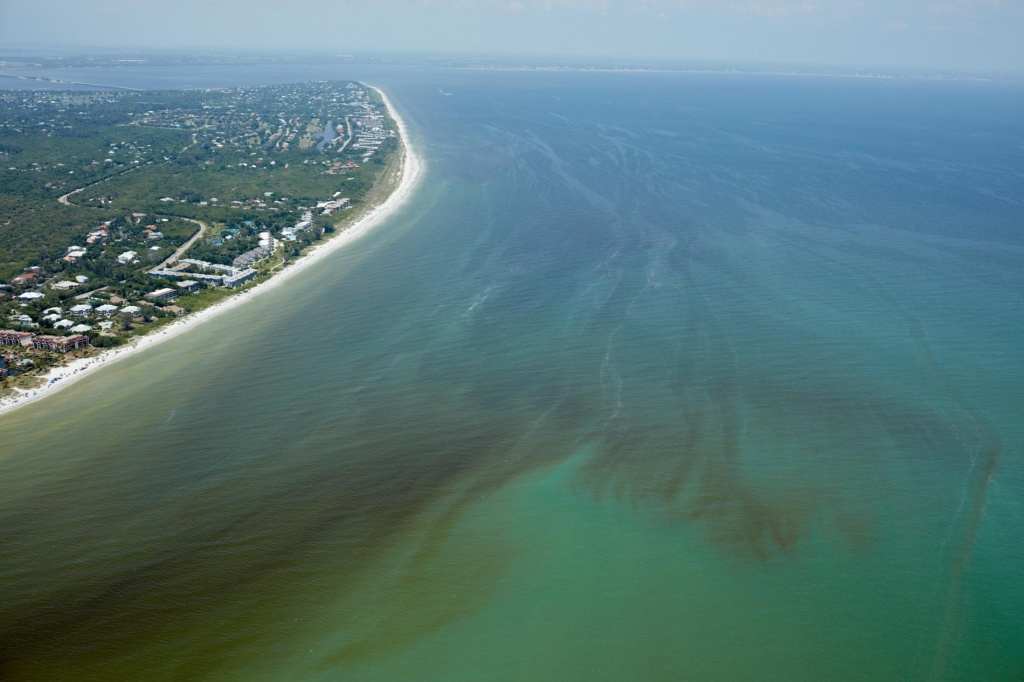 Red Tide Is Devastating Florida&amp;#039;s Sea Life. Are Humans To Blame? - Florida Beach Bacteria Map 2018