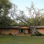 San Antonio, Surrounding Cities Work To Mitigate Oak Wilt Problem   Oak Wilt Texas Map