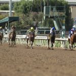Santa Anita Track Deemed Ok For Racing After Rash Of Horse Deaths   Horse Race Tracks In California Map