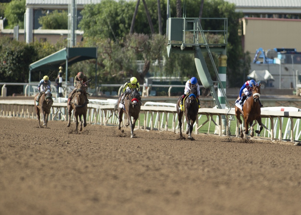 Santa Anita Track Deemed Ok For Racing After Rash Of Horse Deaths - Horse Race Tracks In California Map