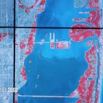 Sea Level Rise And Coastal Cities | National Geographic Society   Florida Sea Rise Map
