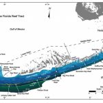 Sofia   Regional Quaternary Submarine Geomorphology   Methods   Florida Keys Topographic Map