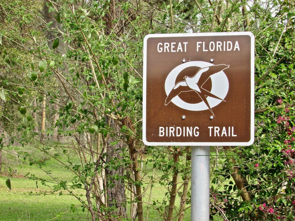 Tallahassee Daily Photo: Great Florida Birding Trail - Great Florida Birding Trail Map