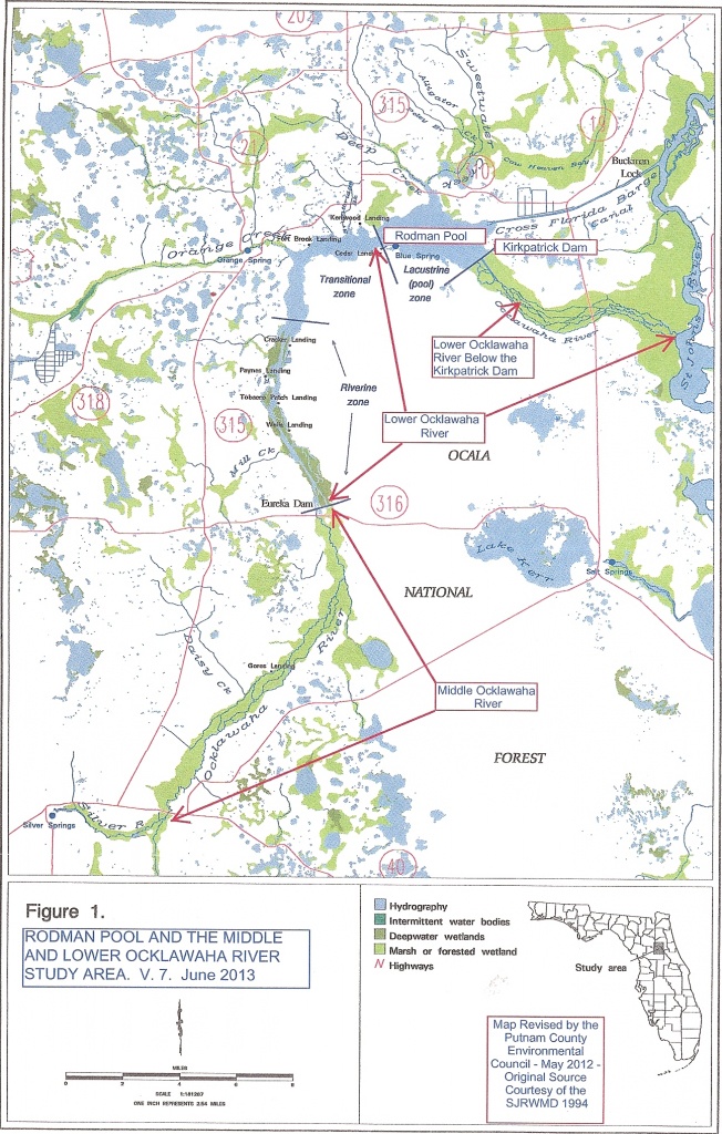 The Ocklawaha Ecosystem | Florida Defenders Of The Environment - Ocklawaha Florida Map