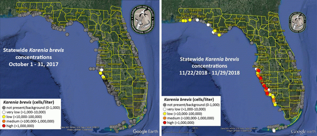 Understanding Florida&amp;#039;s Red Tide - Florida Sea Grant - Current Red Tide Map Florida