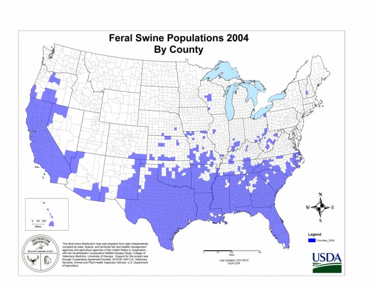 Usda Aphis | History Of Feral Swine In The Americas - Florida Wild Hog ...