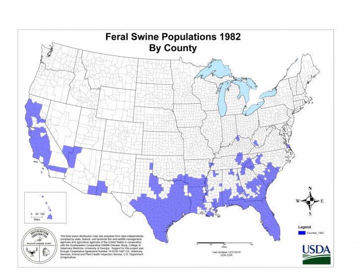 Florida Wild Hog Population Map