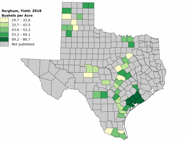 Usda Map Texas