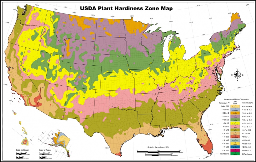 Usda Zone Map For Los Angeles Gardeners - Lawnstarter - Growing Zone Map California
